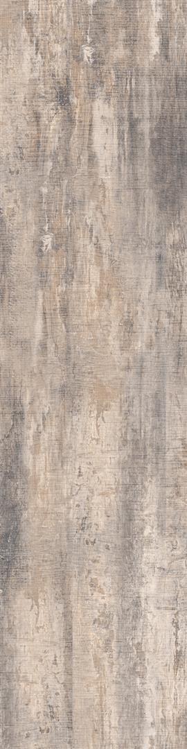 Sanctuary 22x90 Açık