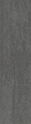 Leo 30x120 Gri
