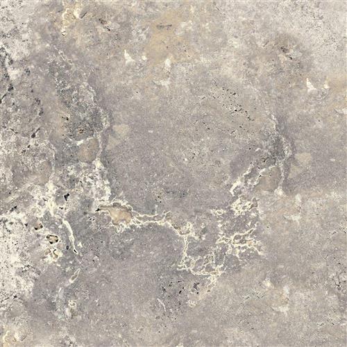 Camarque 60x60 Gris