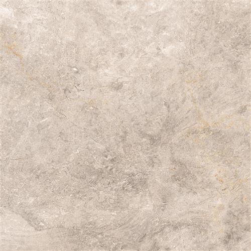 Silver 60x60 Gri
