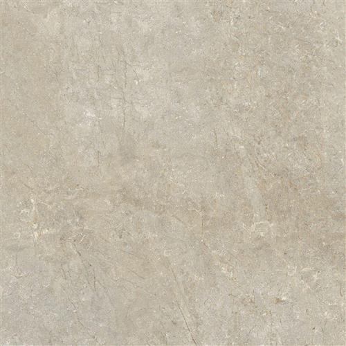Rafael 60x60 Gri